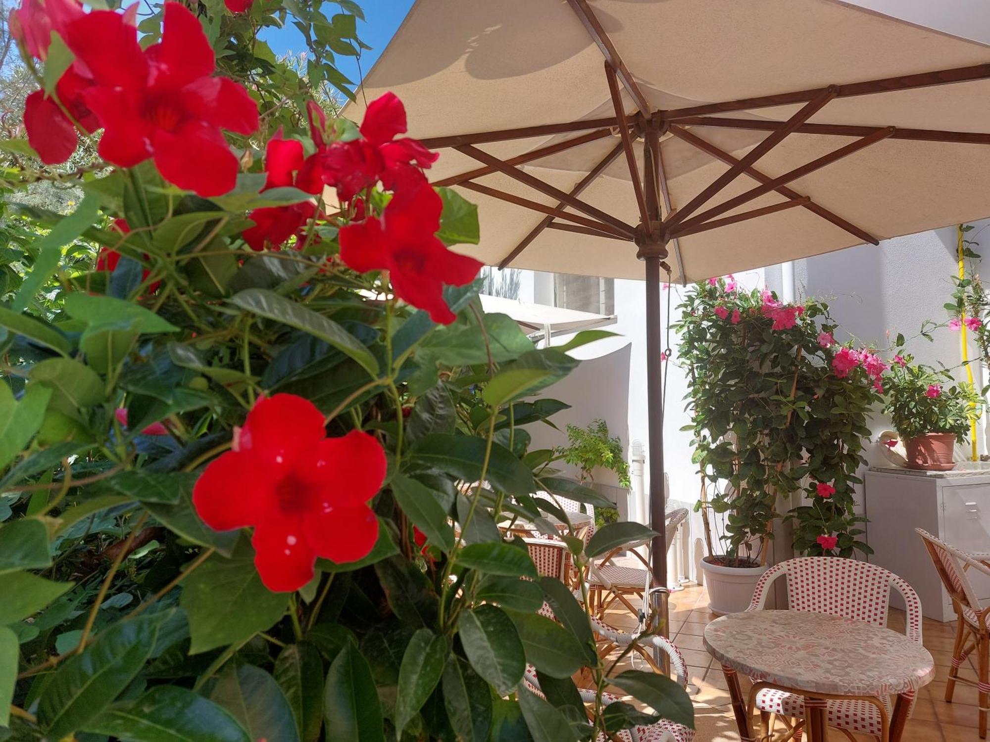 Hotel Driade sul mare Rimini Exterior foto